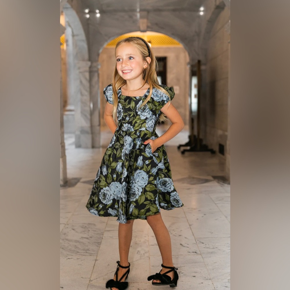Ivy City Co Ivanna Dress 2T
